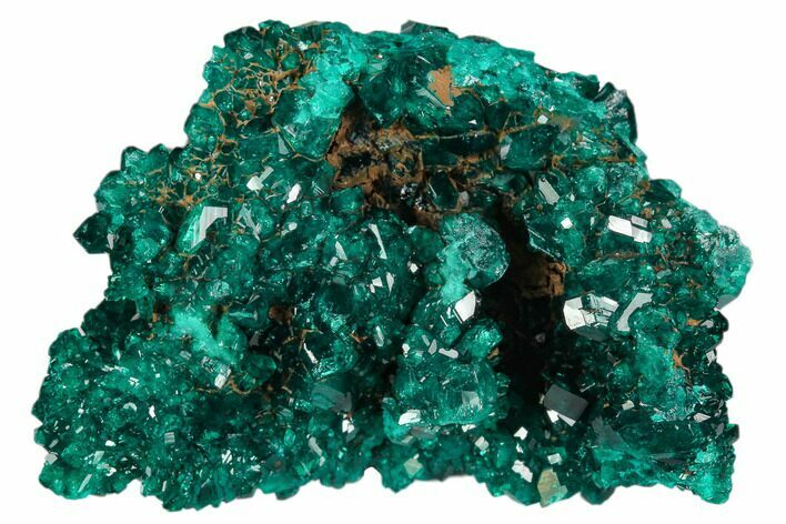Gorgeous, Gemmy Dioptase Crystal Cluster - Congo #129543